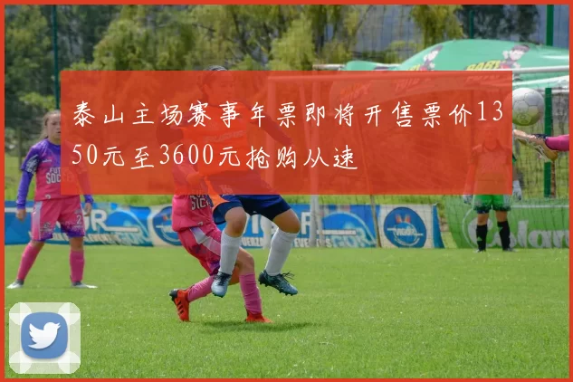 泰山主场赛事年票即将开售票价1350元至3600元抢购从速