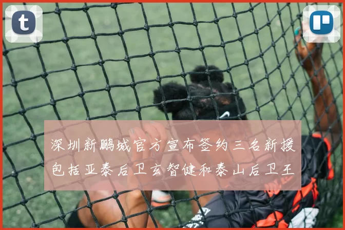 深圳新鹏城官方宣布签约三名新援包括亚泰后卫玄智健和泰山后卫王昱衡